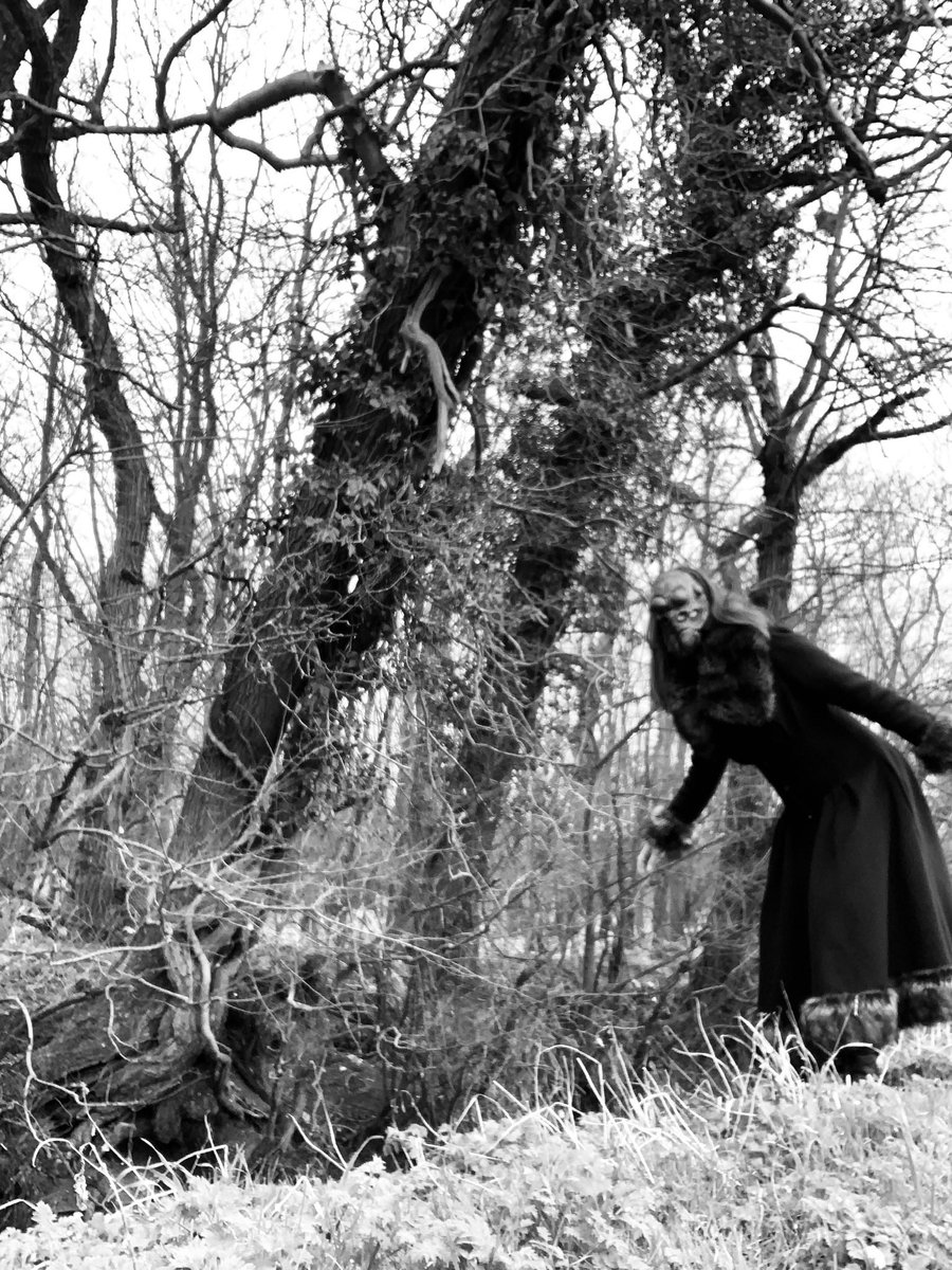 FishburneRauh's tweet photo. Happy Halloween. 🕷️🧥 #TikTok #halloween #shortfilm #spiderface #shortstory #amwriting #charlierauh https://t.co/hzHZTlMEs8