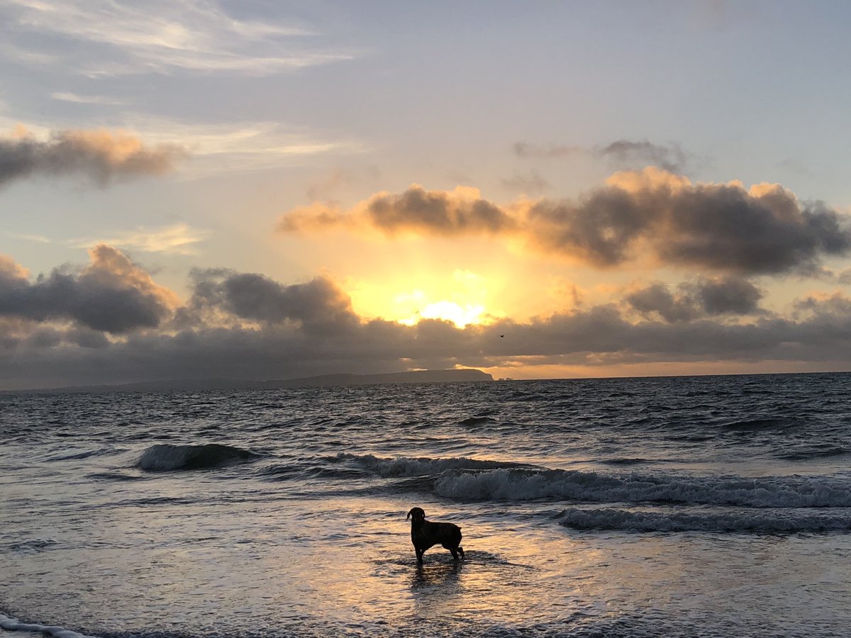 Sunrise this morning, the start of a week speaking with financial advisers &amp; planners to support them when working with clients who have smaller portfolios, in a profitable way - let’s go 👌😎