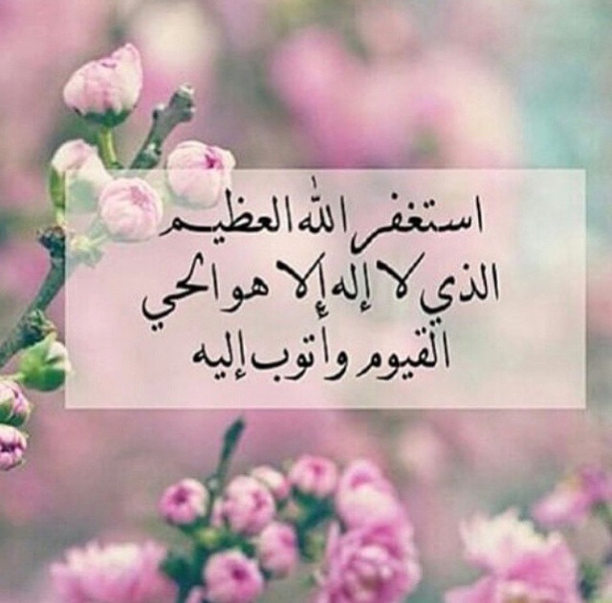 ،،

.
طوبى لمن وجد في صحيفته
 استغفارًا كثيرًا،،

استغفرالله العظيم واتوب اليه
استغفرالله العظيم واتوب اليه
استغفرالله العظيم واتوب اليه
استغفرالله العظيم واتوب اليه

استغفرالله العظيم لي ولوالدي
 وللمؤمنين والمؤمنات والمسلمين
 والمسلمات الاحياء منهم والاموات
.
🌺
