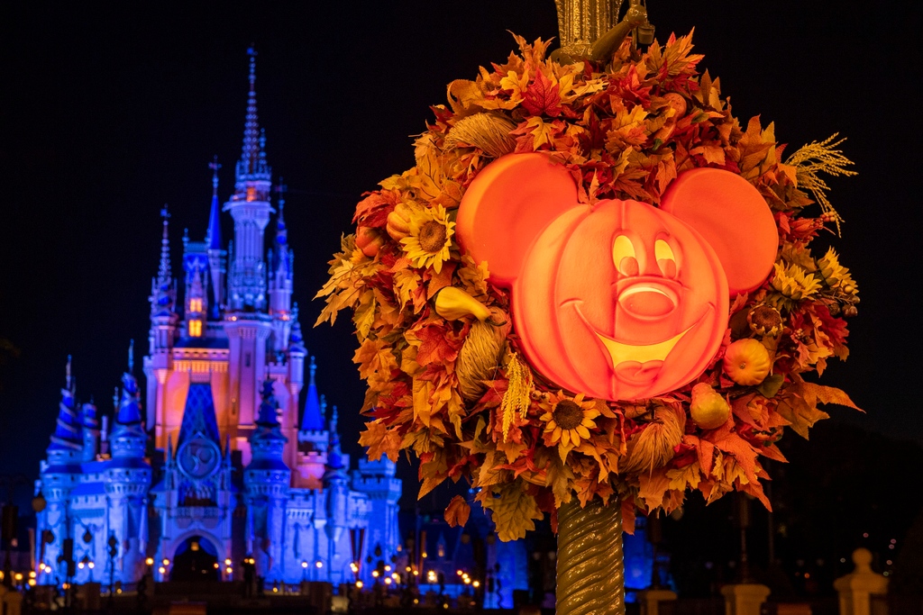 Capabletravel's tweet photo. Happy Halloween at @waltdisneyworld

#DisneyWorld50 #waltdisneyworld #Florida #USA #MagicKingdom #mickeymouse #Halloween  #trickortreat #October31 #pumpkin #witches #travelphotography #instatravel #bestplacestogo #beautifuldestinations #wanderlust ⁠ #CondeNastTraveller https://t.co/XpIcpE6QGo