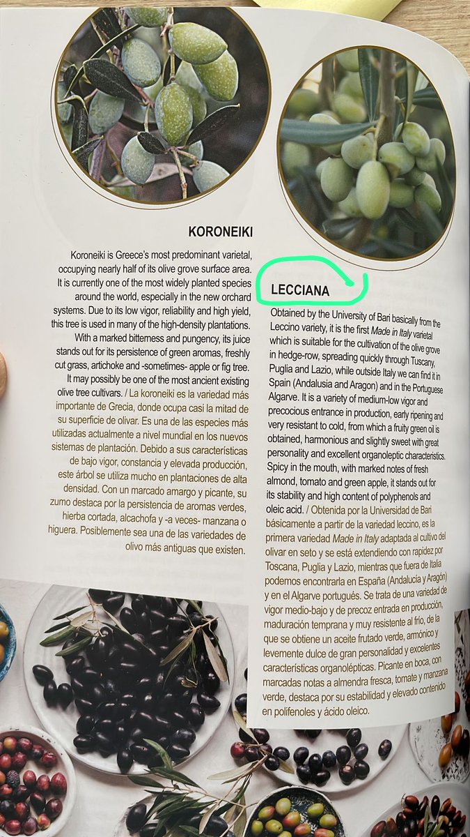 Agromillora tweet media