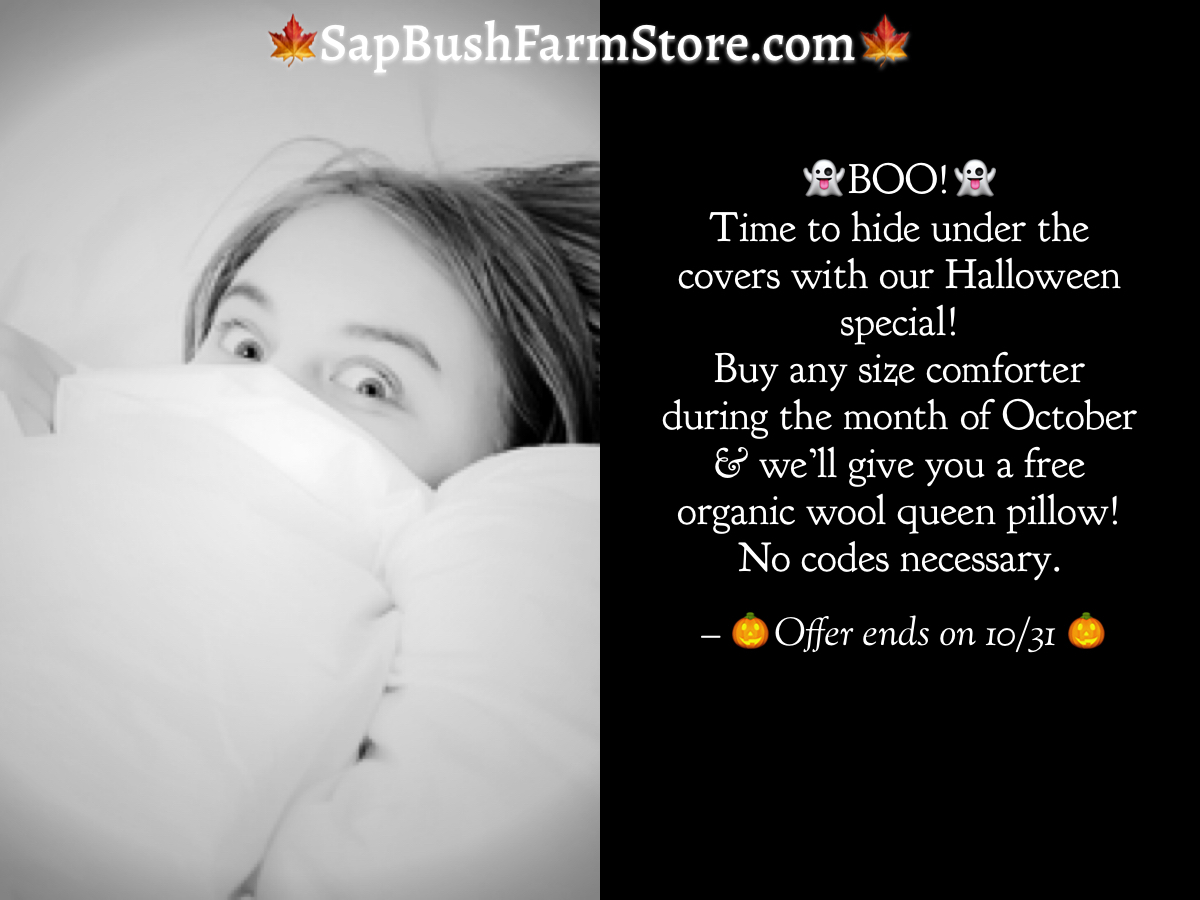 SapBushShannon's tweet photo. This offer only comes round once per year...And yes! We ship! #organicbedding #woolbedding #americanmade #regenerativeagriculture https://t.co/gFpUaMaQOv https://t.co/boZG8wIX3M