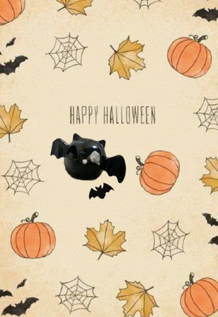 and_hamch's tweet photo. Happy Halloween !🐹👻🦇🌟

When brown hamster prowl and pumpkins gleam, May luck be urs on Halloween〜♪🤭

オヤツをもらわないと、
悪戯しちゃうゾッ！　by RATE

#hamster
#Halloween 
#ハロウィン 
#ハムスターのいる暮らし https://t.co/wkTYFmp8yp