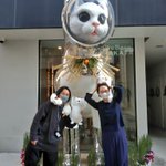 ミシュニャン(J九バートン)🐈️🚄🗻🏂️⛄️🇺🇸🇨🇦⚽️🇫🇷🇯🇵♂🏐のツイート画像