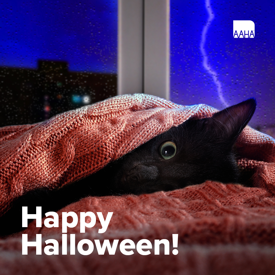 Tweet by American Animal Hospital Association