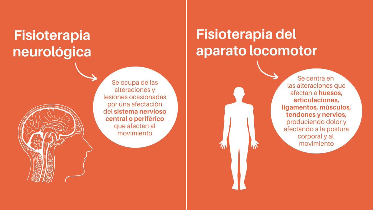 eugimbernat_'s tweet photo. 👩‍⚕️👨‍⚕️ El alumnado de Gimbernat se forma como fisioterapeuta generalista, pero al mismo tiempo adquiere un primer nivel de especialización mediante un elevado grado de optatividad en el plan de estudios. Estos son los 5 itinerarios que se ofrecen 👇
#LoLlevasDentroEUG #Fisioterapia https://t.co/oORnCbRe80