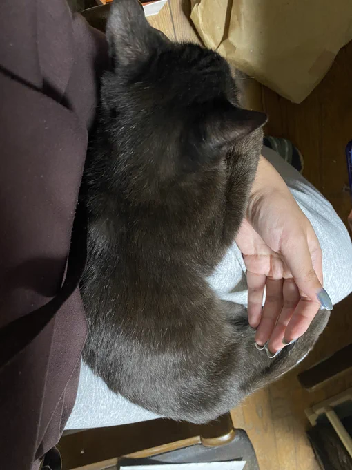 動けぬ 
