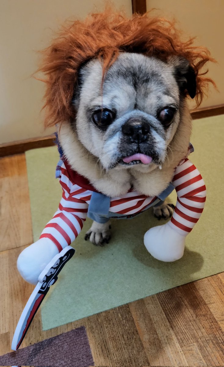 チャッキーハロウィン2022