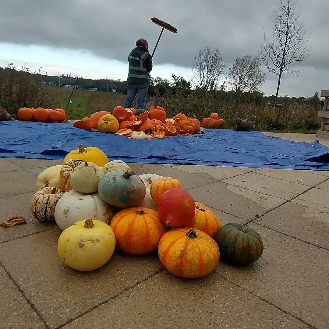 Prevent landfill during Halloween and drop off your pumpkins to <a href="/ROOTS4LIFE/">ROOTS4LIFE</a>  to compost!  

Join us Sat 5 November from 11-12.30 for a pumpkin smash.

Pumpkins drop-offs Tues- Fri this week between 9-4 only 🎃

ℹ️ Roots4Life 245 Footscray Road, New Eltham SE92EL

#PumpkinRescue