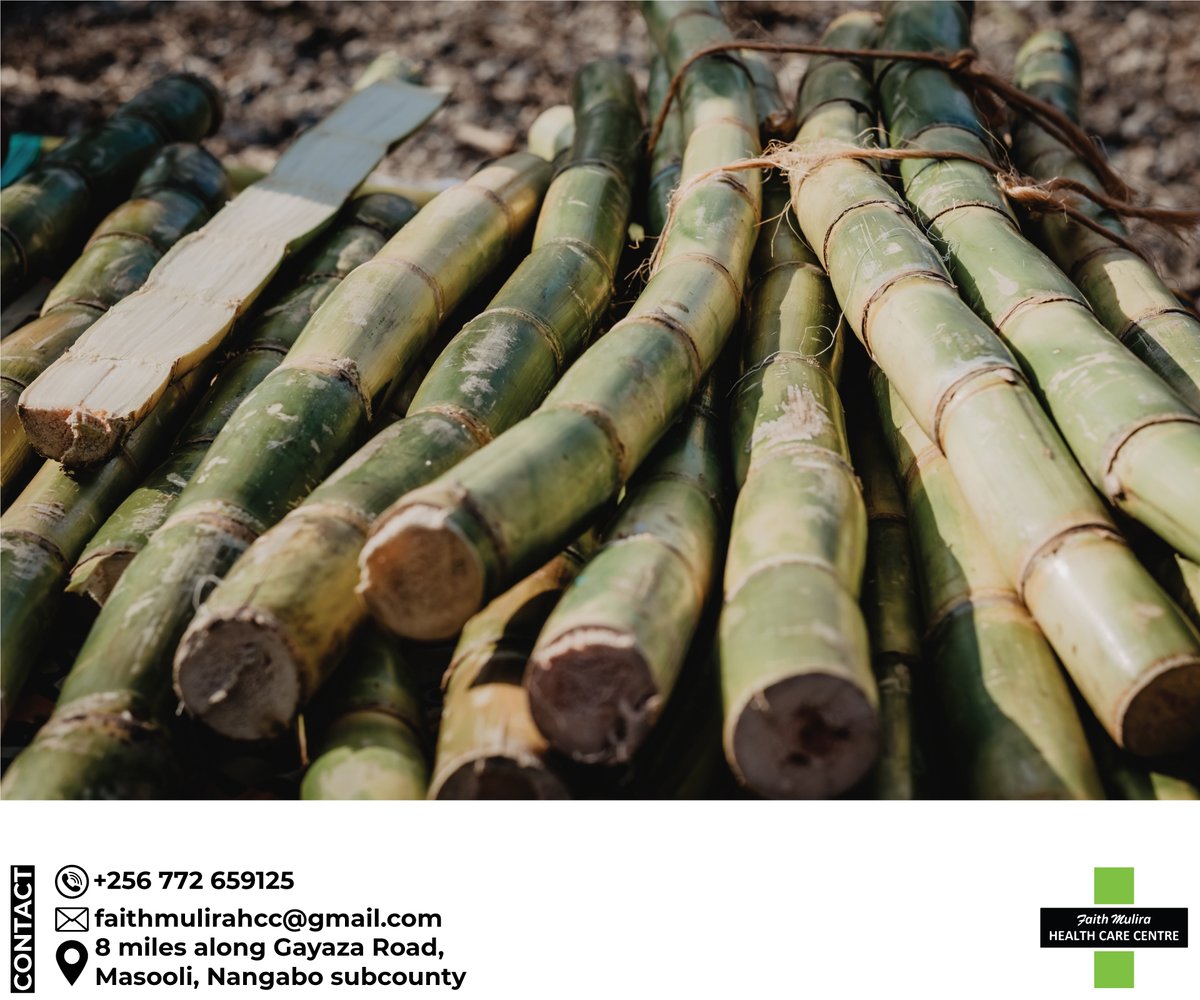 FaithMulira's tweet photo. Sugarcanes are great for hydration, so rich in iron, calcium, magnesium and other electrolytes. Hope you won't forget to add it on your menu once in awhile😉
#Lugogo #Sheila #Aisha #Kabuleta #Canary #Busoga https://t.co/dMtSrWsCpi