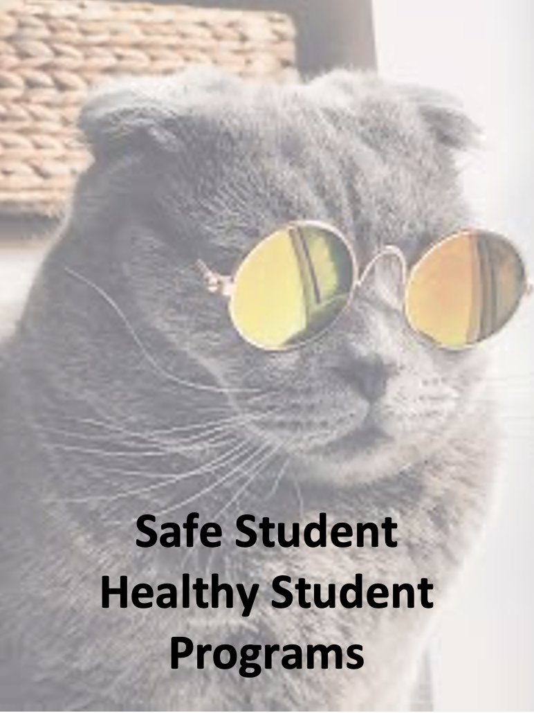 sl1tribe's tweet photo. SLES Sets Safe Student, Healthy Student Programs - Southern Local Elementary School is focusing on character skills and good decisions with its Safe Student, Healthy Student series. https://t.co/v9rLyJEtKE https://t.co/FUNaUVqCAu