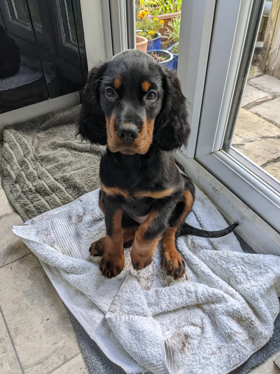 Chris W 💙🇪🇺 tweet media