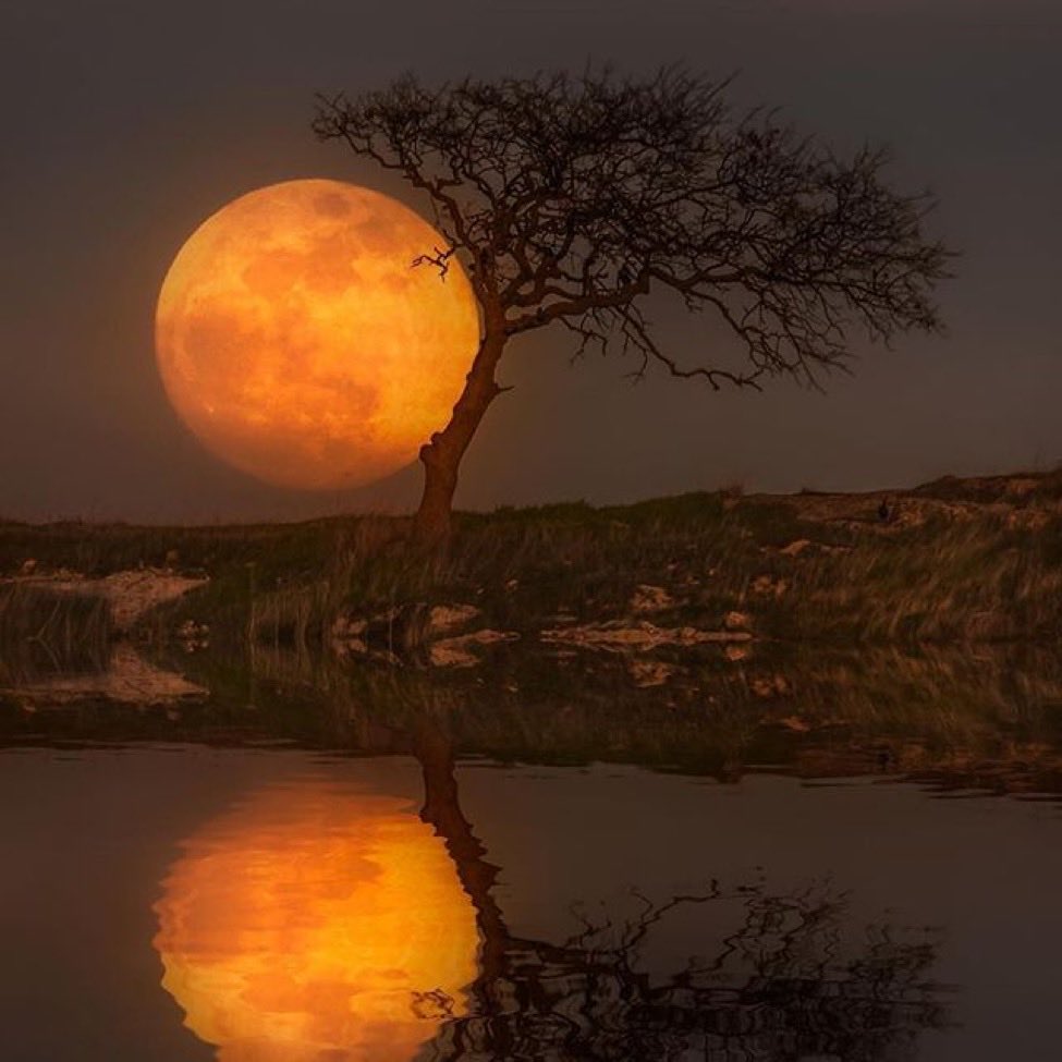 Moonrise reflection.