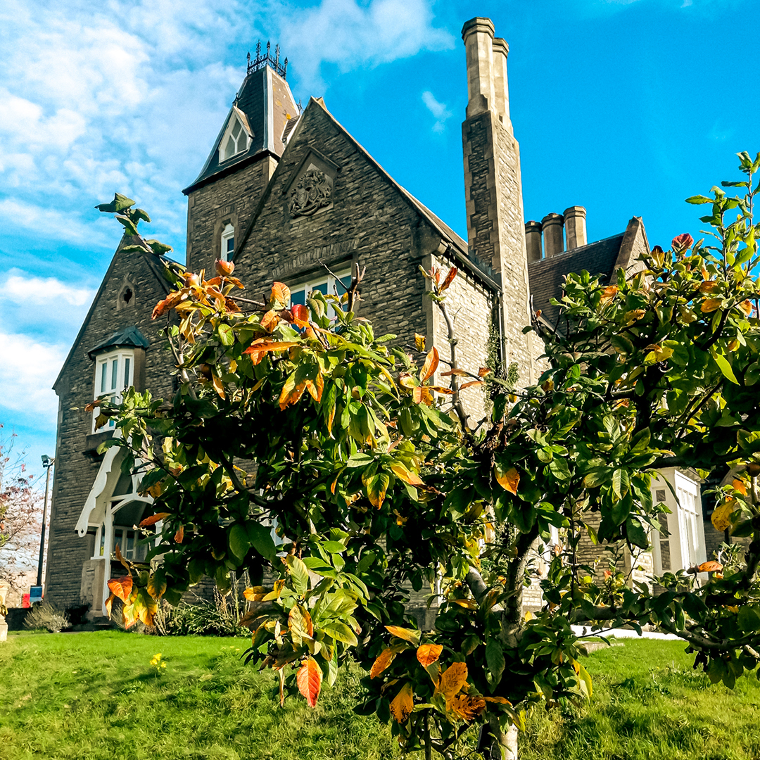 UWEBristol's tweet photo. 📸 We love an autumnal campus shot 🍂😍 https://t.co/Y5AIvt3BGc