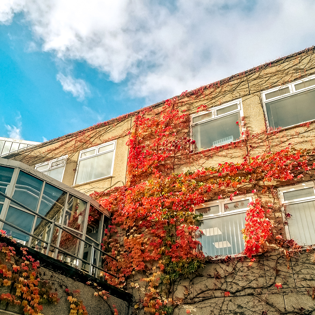 📸 We love an autumnal campus shot 🍂😍