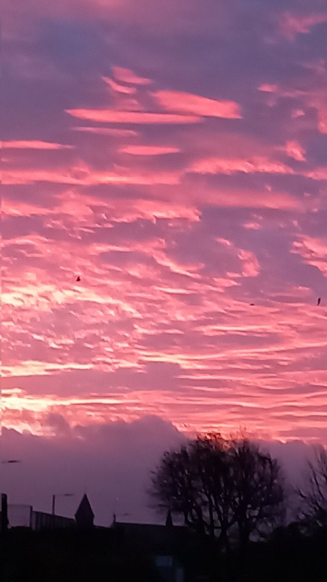 Adriennebotanic's tweet photo. This was the #sky this #morning at #sunrise on the #SpringfieldRoad while waiting on the #bus What a fantastic sight. #Camera doesn't do it justice! https://t.co/atowhghc39