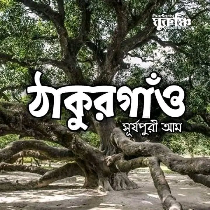 SAGOR__HOSEN's tweet photo. এই গাছে কেউ উঠেছেন?? https://t.co/Jfl3N4FLsH