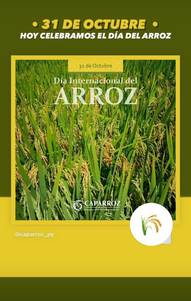 caparrozpy's tweet photo. Un 31 de octubre del año 2004, la Asamblea General de las Naciones Unidas (ONU) declaró la fecha como el  Día Internacional del arroz.
El 🌾🍚es uno de los cereales más producido y consumido a nivel mundial por ser un alimento no perecedero y fuente de energía 💪 https://t.co/rgcLeHOJTC