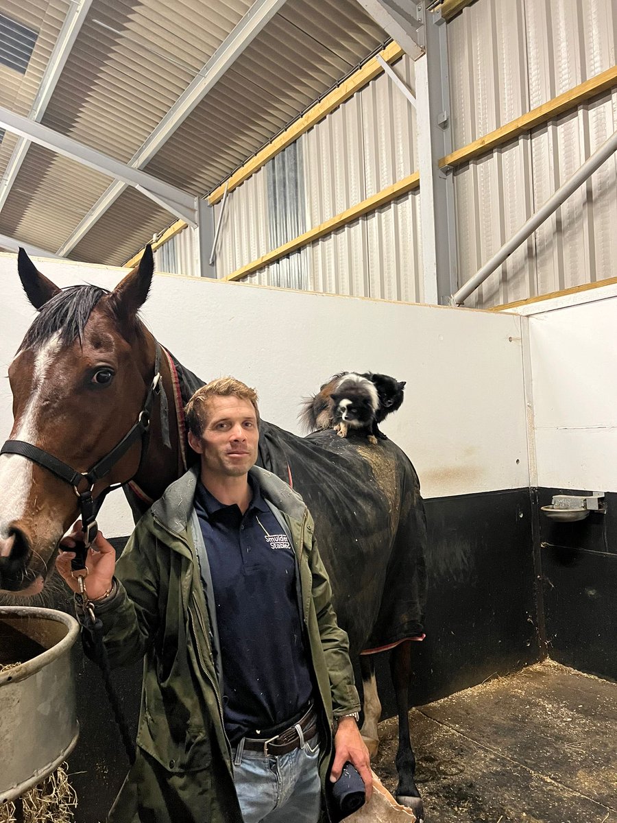 Sam Thomas Racing (@sammytracing) on Twitter photo OUR POWER posing with yard mascots Pebbles and Panda after his gutsy win <a href="/Ascot/">Ascot Racecourse</a> OUR POWER posing with yard mascots Pebbles and Panda after his gutsy win <a href="/Ascot/">Ascot Racecourse</a>