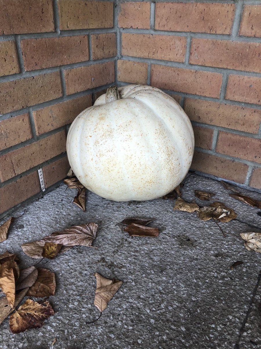 ST Women's Aid / PfP tweet media