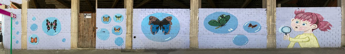 🎨Tres murais que están moi cerca para ver nun momentiño. Todos na contorna do Fórum Carballo:
1. "Galician wildlife" de Dulk
2. "Esconxuro contra o amo" de Milu Correch
3. Mapa
4.  "Bolboretas" de Cristina Castro