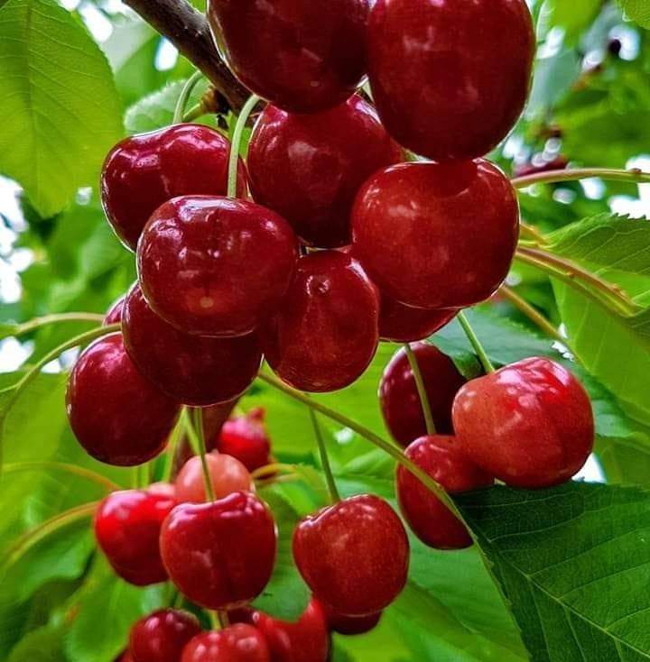 Welcom my dear guest
Wish you happy wellfare life.bey