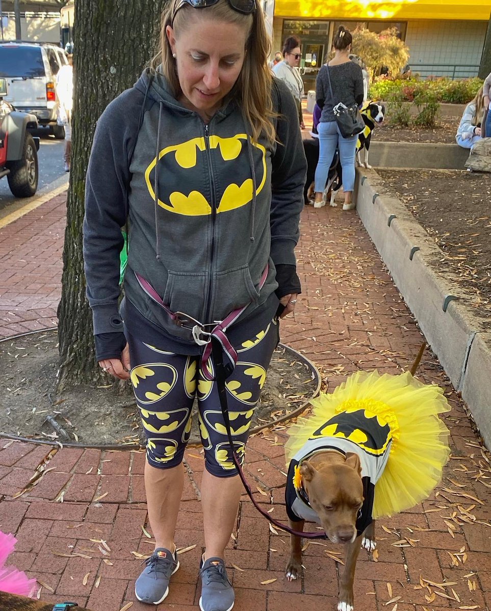 KimKlingler's tweet photo. Happy #halloween from #batgirl and #batdog 🎃🦇🐶 

Great to #celebrate early with #dogmadogbakery @DCLuckyDog @1Shirlington #ColumbiaBaptistChurch  #trickortreating and #trunkortreating 

Thanks @lostdogrescue for #cocothequeenbee 🐶👑🐝 #pandemicpup 🙏 https://t.co/0Ja4EghgPt