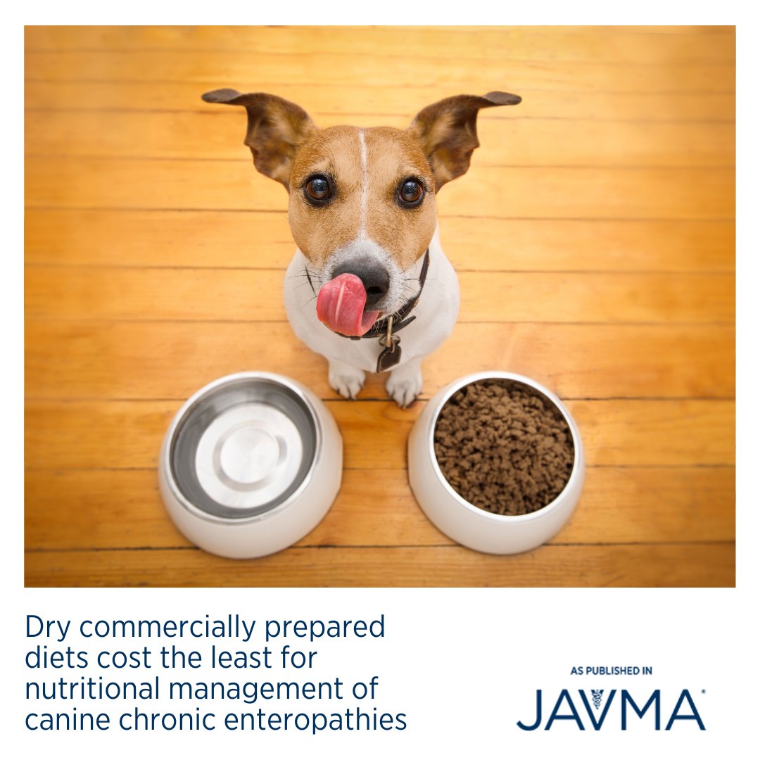 AVMAJAVMA's tweet photo. Dry commercially prepared diets cost the least for nutritional management of canine chronic enteropathies. Learn more: https://t.co/w452J5k3dm #nutrition #enteropathy #petfood #dogfood @ACVIM @OSUVetCollege https://t.co/iSuVzGr7GO