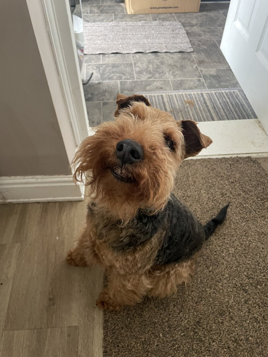 Happy birthday to ME, Chuck! The Original Bol of the House!