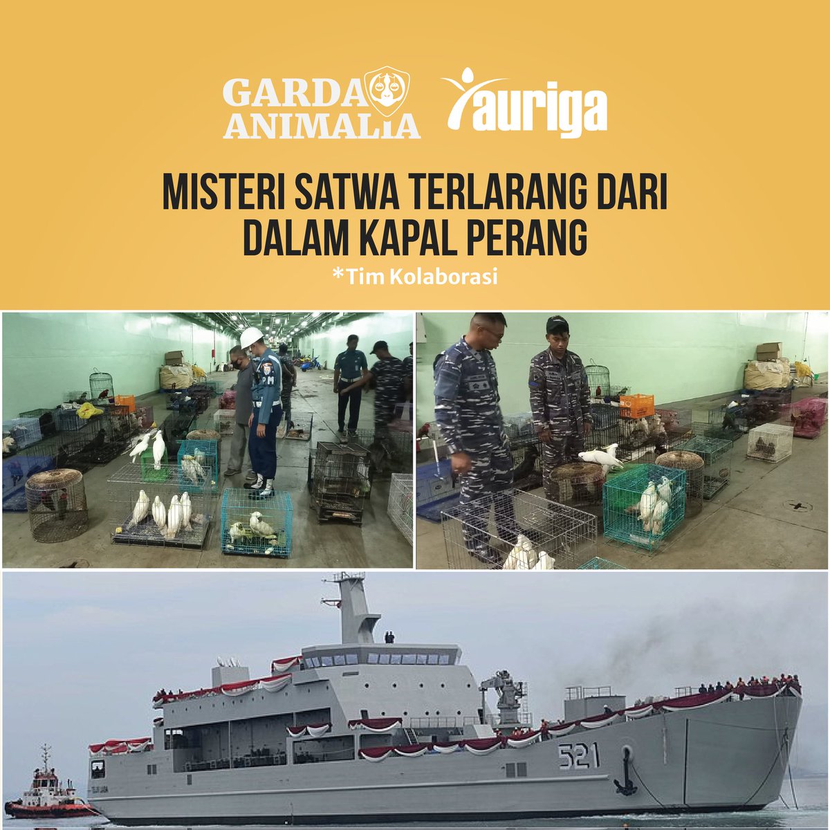 Warga Twitter, tolong viralkan kasus ini. Kapal perang bukan untuk melanggar UU dan Konstitusi!

Misteri belum terpecahkan! Hingga berita ini terbit, misteri raibnya satwa belum juga terjelaskan.