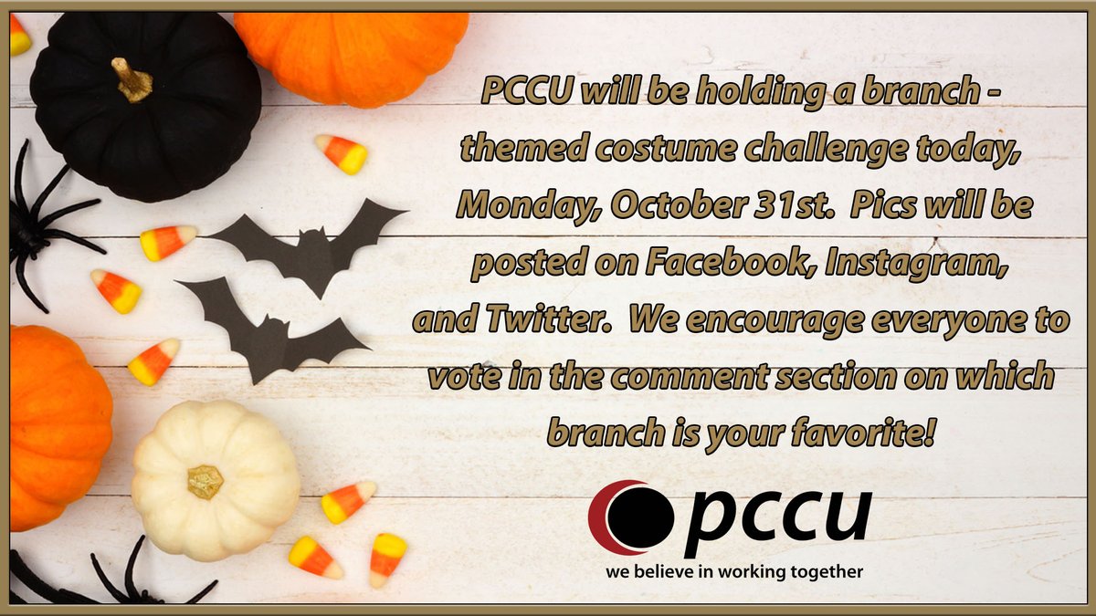 PerfectCircleCU's tweet photo. PCCU is holding a branch-themed costume challenge today, Monday, October 31st. Pics will be posted on Facebook, Instagram, and Twitter. You can vote in the comment section, beginning at 10:00 a.m. on October 31st - noon on November 1st, on which branch is your favorite! https://t.co/WevaN77AGN