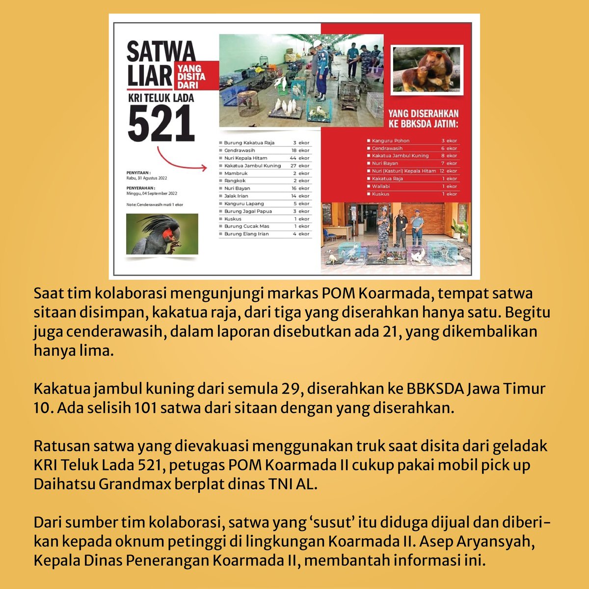 gardaanimalia's tweet photo. ...dari geladak KRI Teluk Lada 521.

Satwa liar yang sebagian jenisnya dilindungi ini, adalah hasil sitaan tim gabungan POM Armada II, Den Intel Armada II dan POM Lantamal V dari Kapal Amfibi Koarmada III.

Kejanggalan kasus terlihat saat TNI AL mengaku telah menindak... https://t.co/PdqP3x4EE1