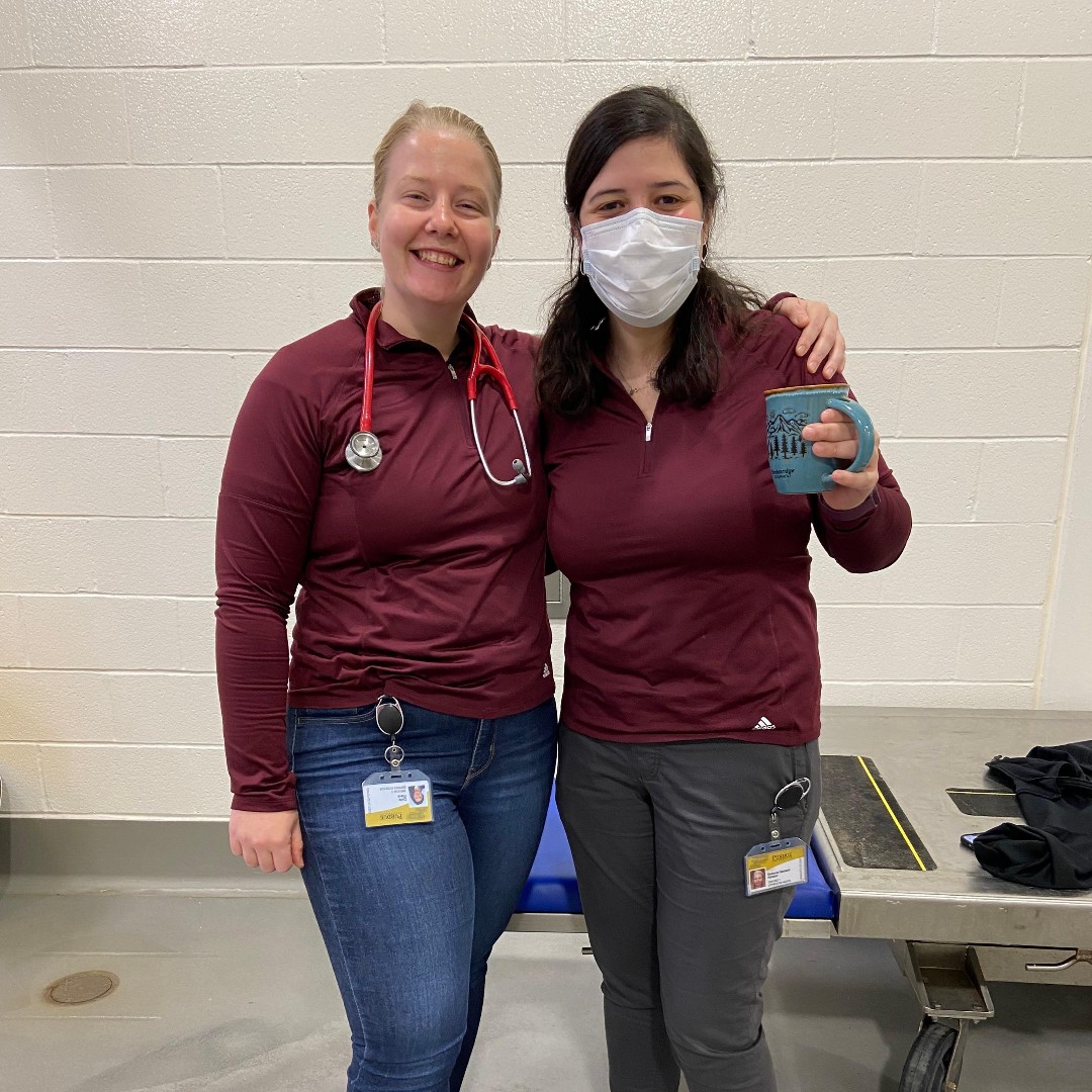 Tweet by Purdue Veterinary Medicine
