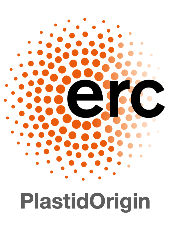 Fabien Burki (@fburki) on Twitter photo Another postdoc position is available in my lab to complete the <a href="/ERC_Research/">European Research Council (ERC)</a> project PlastidOrigin dream team. We are looking for someone with sampling, microscopy, and culturing of #protists experience. Please consider applying Another postdoc position is available in my lab to complete the <a href="/ERC_Research/">European Research Council (ERC)</a> project PlastidOrigin dream team. We are looking for someone with sampling, microscopy, and culturing of #protists experience. Please consider applying