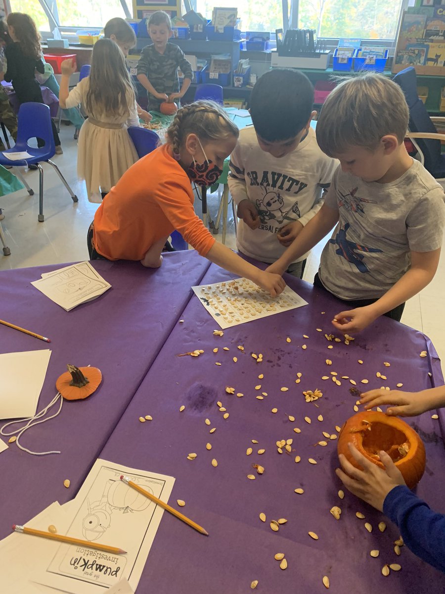 Chrissy Sweeney tweet media