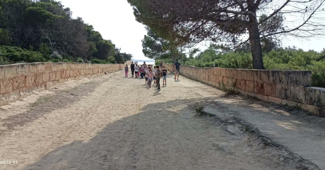 es_cda's tweet photo. Avui visita de l'alumnat de 2nEP @ceipreijaumeiii
Hem fet el taller de restes de platja, posidònia, conegut el #parcnaturalestrencsalobrar i  conèixer aquest espai per poder estimar i defensar, per no cometre atacs al patrimoni com el que mostra a la foto del #niudematrelladora https://t.co/KTUWti5CNM