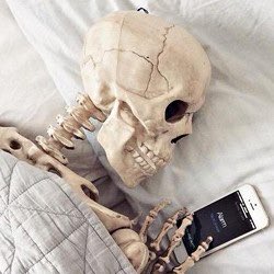 polemicalibera tweet media