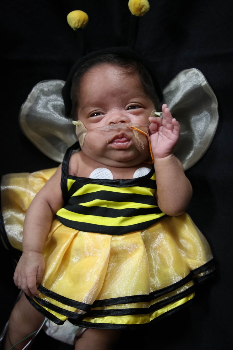 FollowMercy's tweet photo. The Sanderson Sisters, a roaring lion and a side of fries - this year's NICU #Halloween costumes at #MercyOKC are so cute it's almost scary! #MercyKids #HappyHalloween https://t.co/uZVeTyLnGK