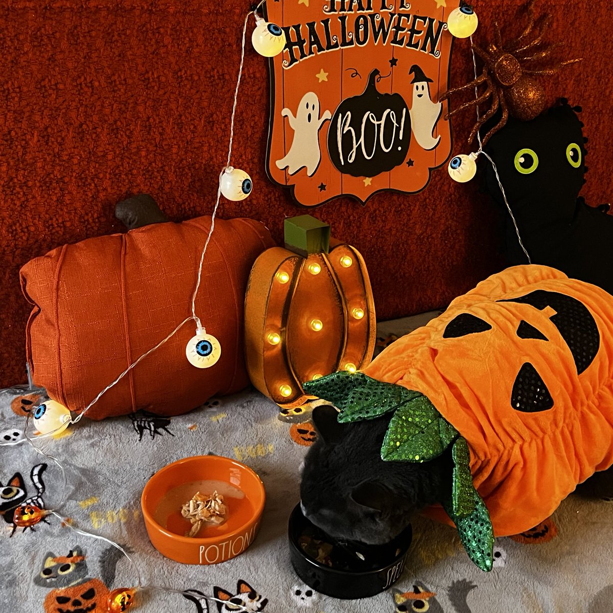 KikiNFT's tweet photo. Happy Kikiween! 🎃 https://t.co/zv6gzilH0F