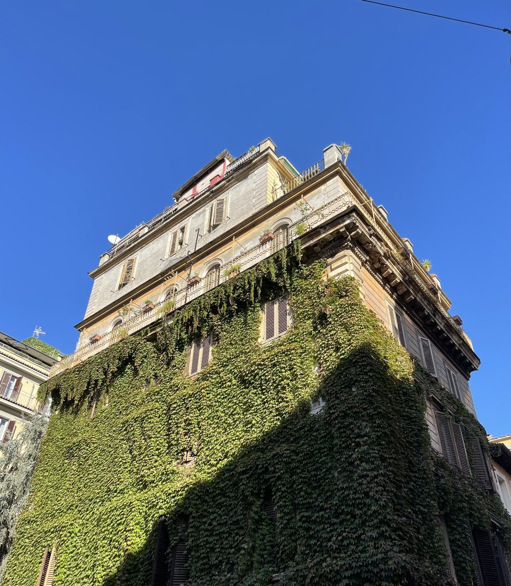 Luisa Nardi tweet media