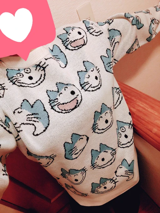 これを最高と言わずして一体何と言うのか…(最高ニット届きましたわよ…) 
