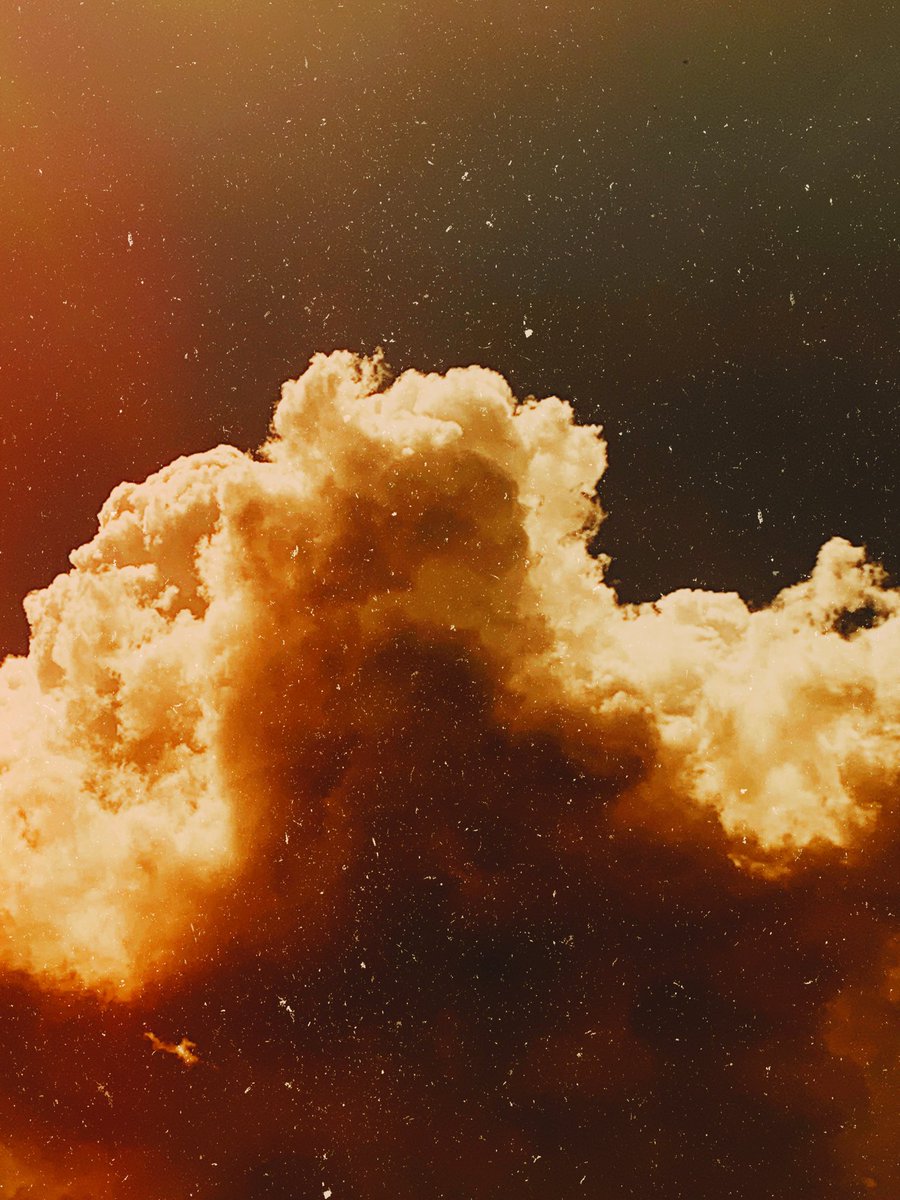 Carlos Bracho tweet media