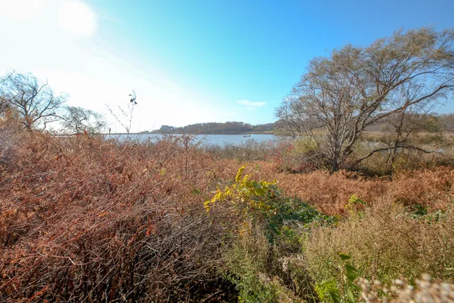 Voting <a href="/YesOn3RI/">Yeson3RI</a> will approve $16 million for municipal resilience projects across RI. Projects like restoring surrounding meadow + marsh at Newport’s Almy Pond to improve water quality, and allow the pond to act as a more effective buffer against stronger + more frequent storms.