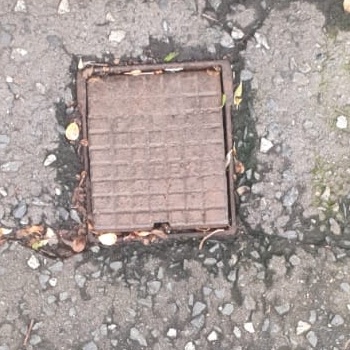 Sharon Whittaker tweet media