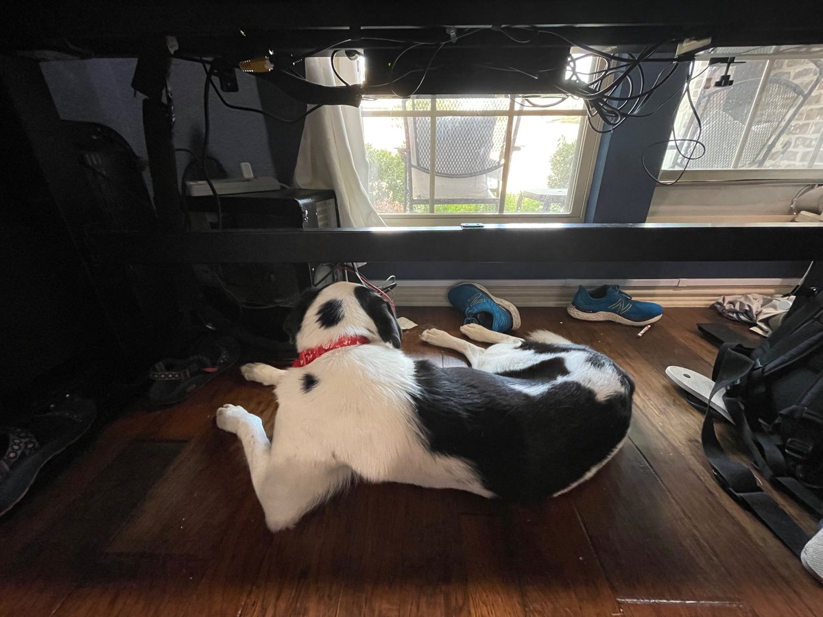 My quiet coworker these days