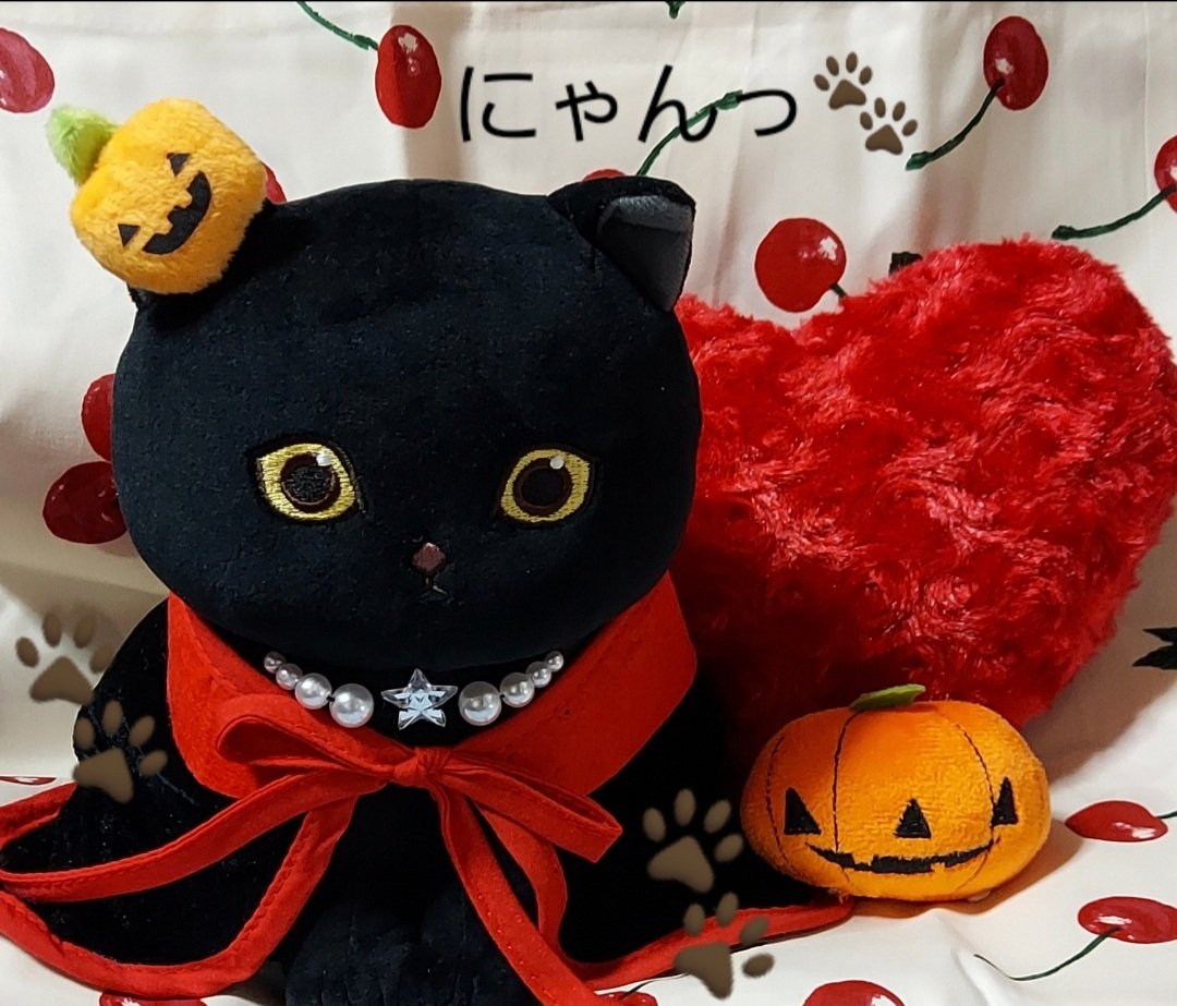ぢゅの🐈 on X: 