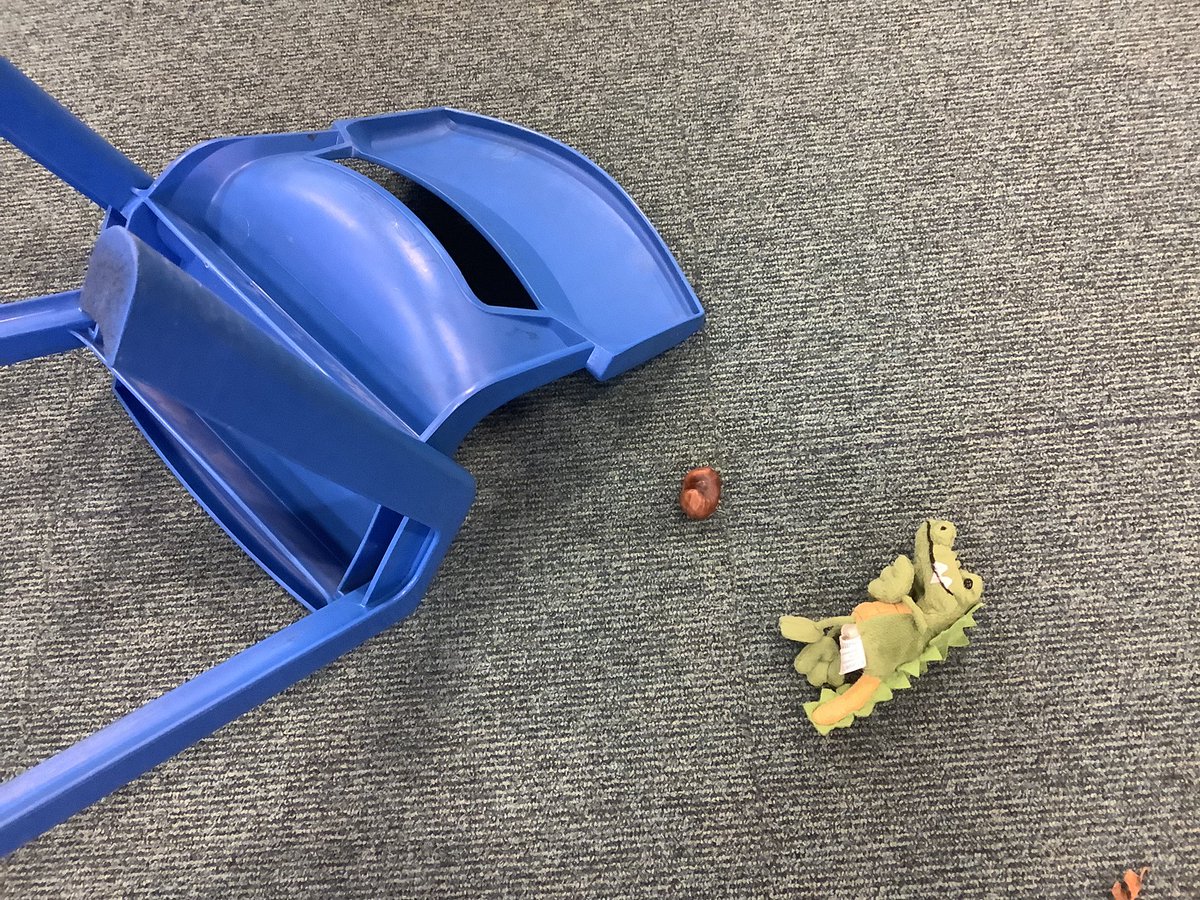 pp_accrington's tweet photo. After finding there had been a rumble in our classroom this morning, we received a letter from the Jungle Master asking to look for clues and find the guilty animal.
#imaginitive #class6 #year1 https://t.co/YeF1nA3Nyg
