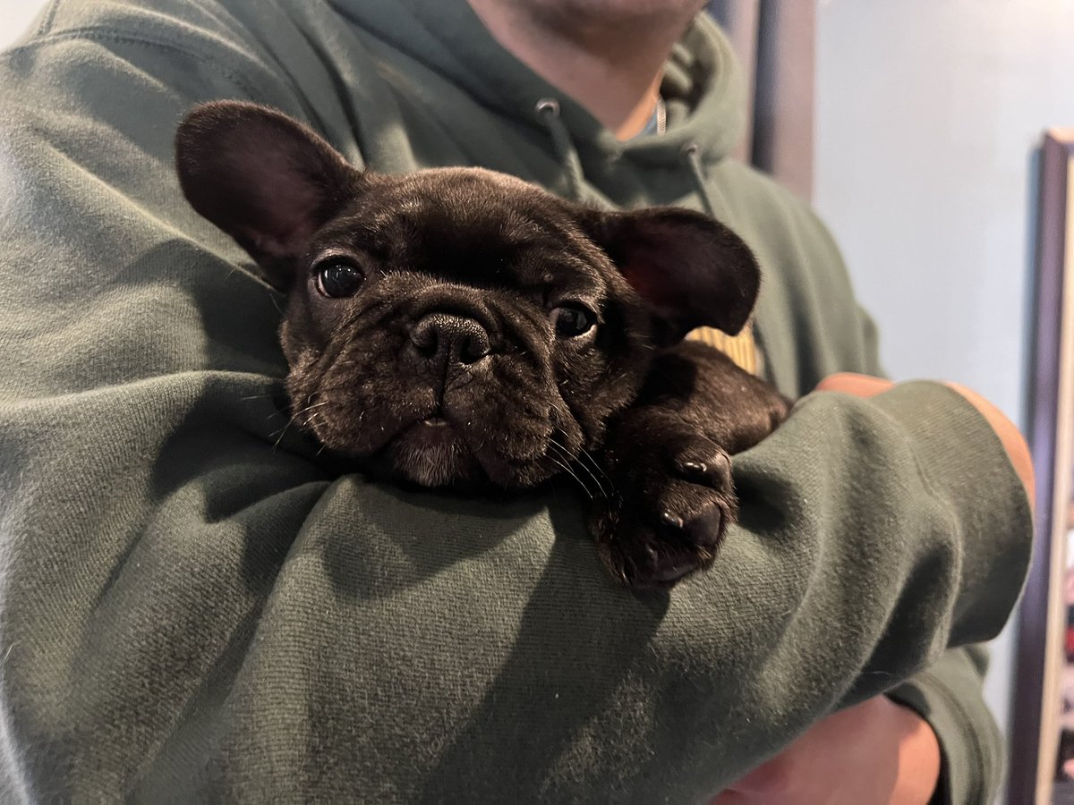 TravisHufton's tweet photo. We got a new baby yesterday, everybody say hi to Dru! https://t.co/waf7rqXDU4