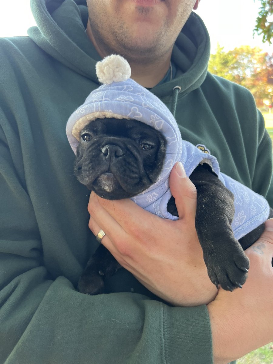 TravisHufton's tweet photo. We got a new baby yesterday, everybody say hi to Dru! https://t.co/waf7rqXDU4