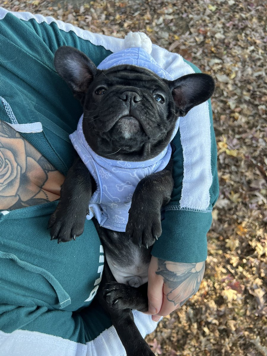 TravisHufton's tweet photo. We got a new baby yesterday, everybody say hi to Dru! https://t.co/waf7rqXDU4